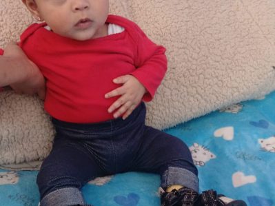 {{brizy_dc_image_alt entityId=