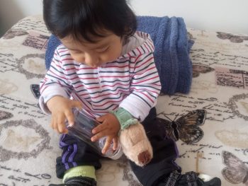 {{brizy_dc_image_alt entityId=