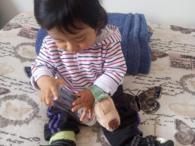 {{brizy_dc_image_alt entityId=